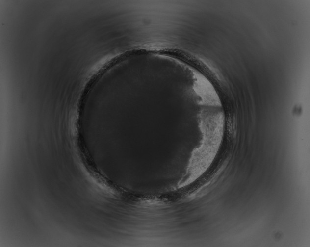 X0000100890540200807220954