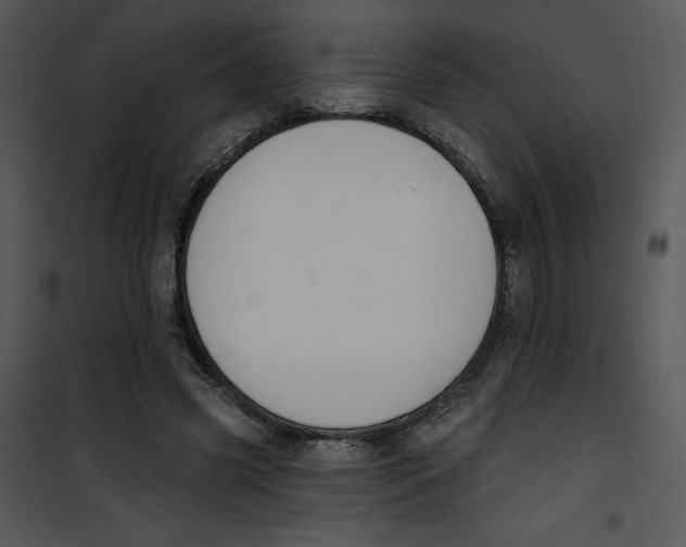 X0000100890541200807220954