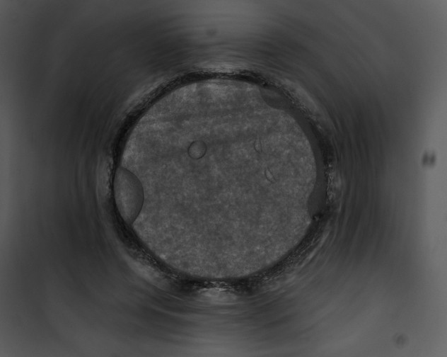 X0000100890544200807220954