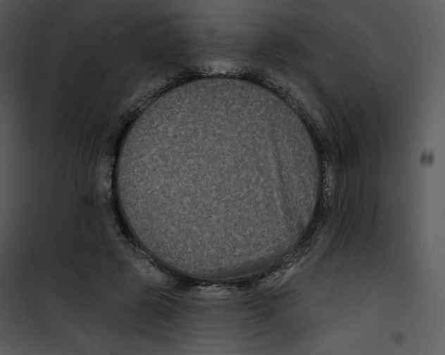 X0000100890545200807220954