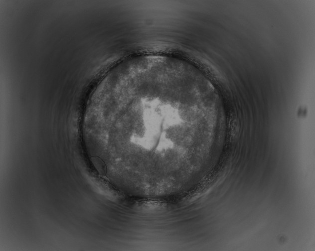 X0000100890546200807220954