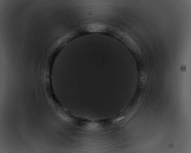 X0000100890547200807220954