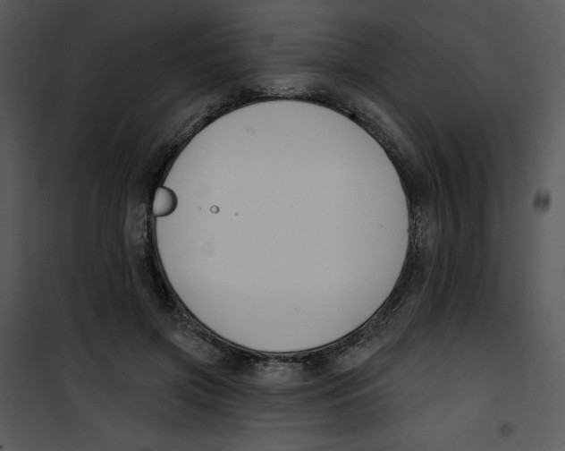 X0000100890549200807220954