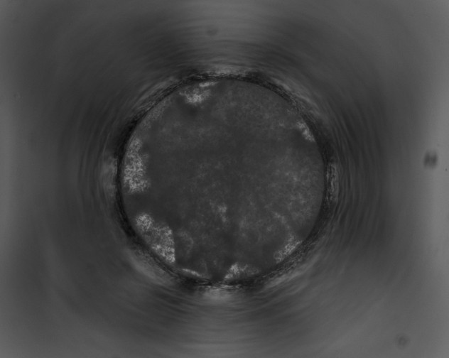 X0000100890550200807220954