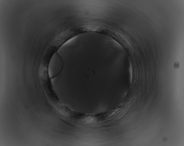 X0000100890551200807220954