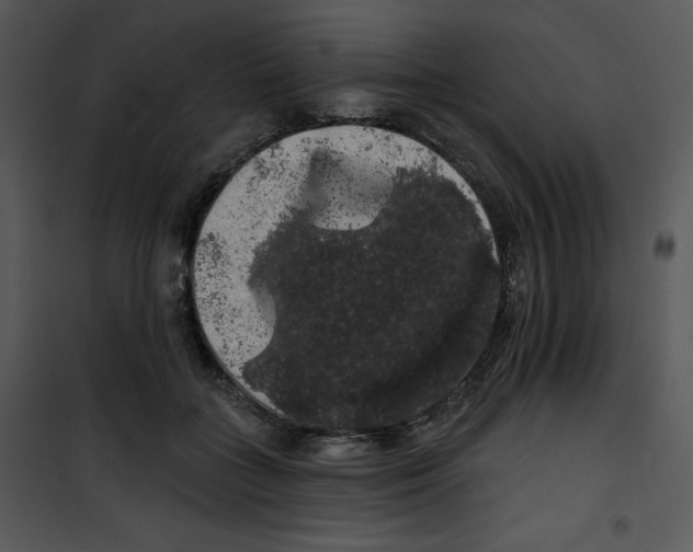 X0000100890555200807220954