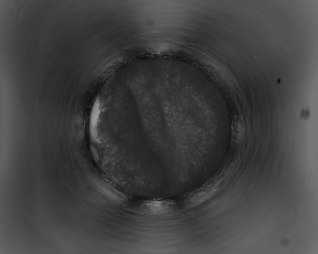 X0000100890558200807220954