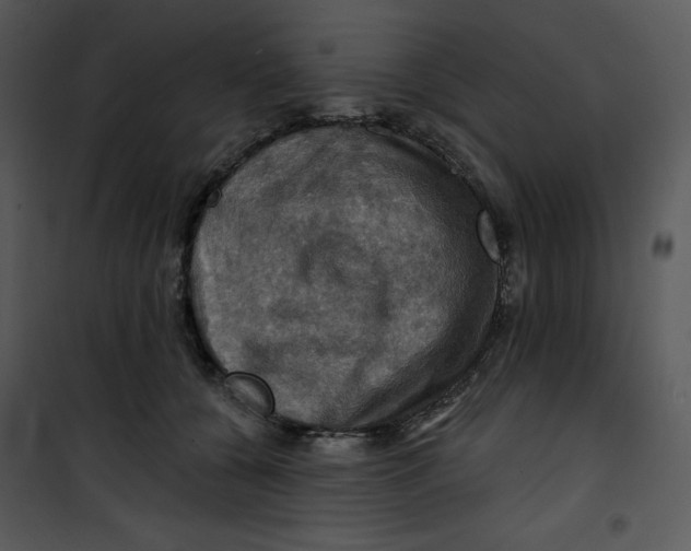 X0000100890560200807220954