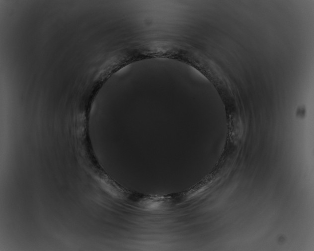 X0000100890563200807220954