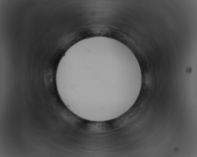 X0000100890567200807220954