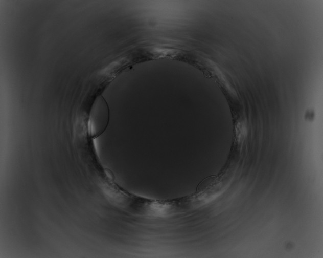 X0000100890570200807220954