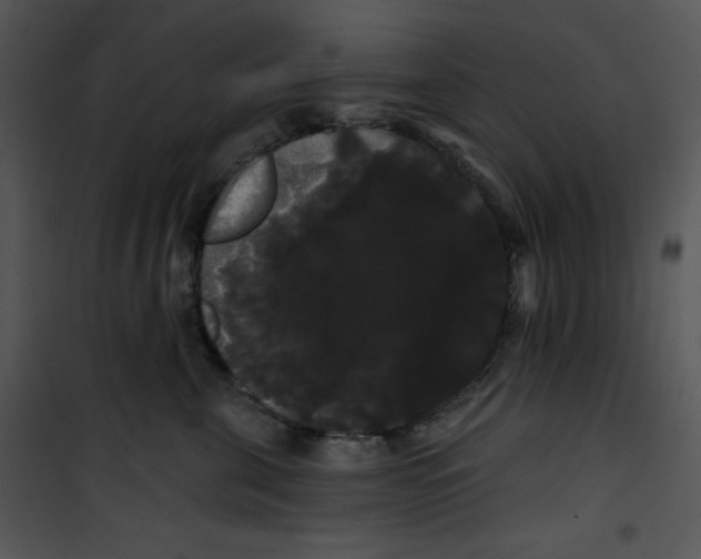 X0000100890571200807220954