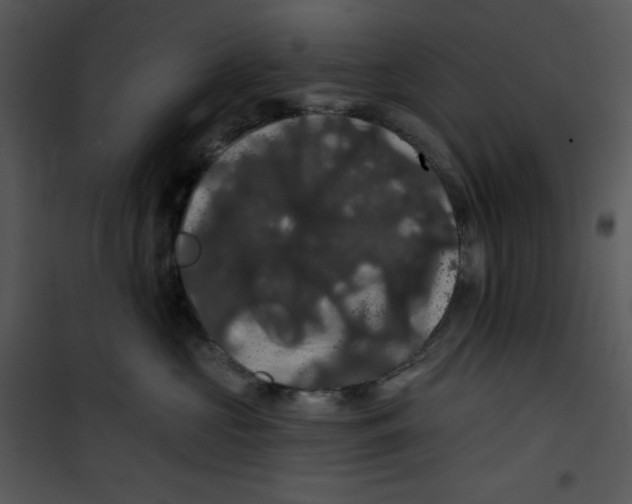 X0000100890573200807220954