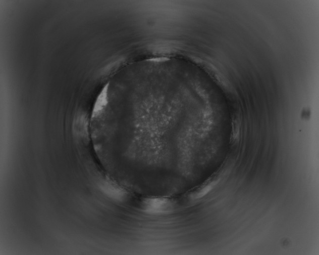 X0000100890575200807220954