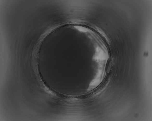 X0000100890577200807220953