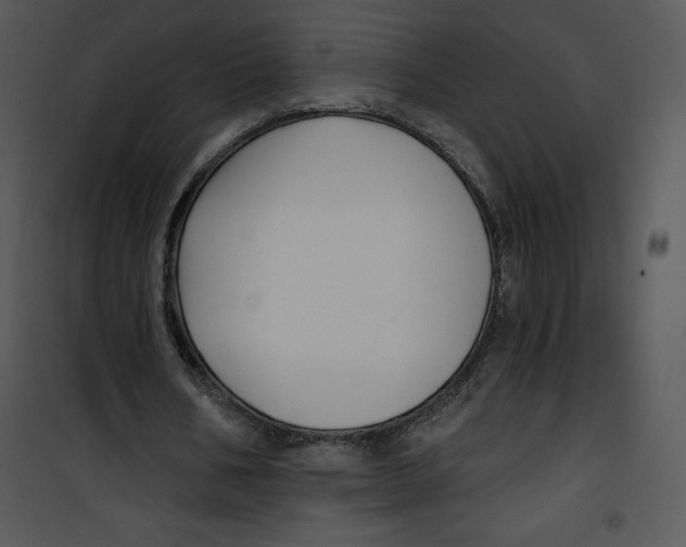 X0000100890578200807220953