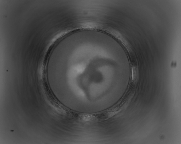 X0000100890579200807220953