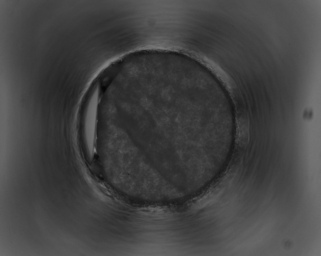 X0000100890580200807220953