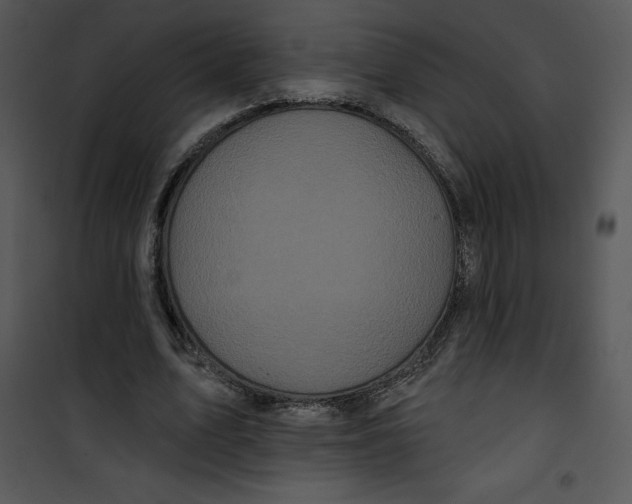 X0000100890583200807220953