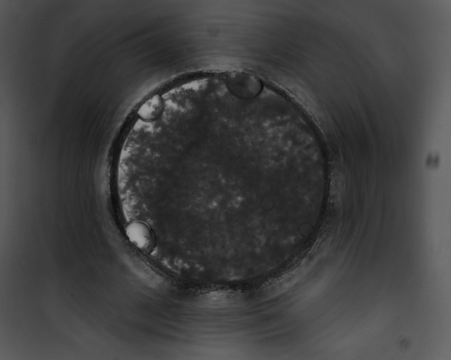 X0000100890584200807220953