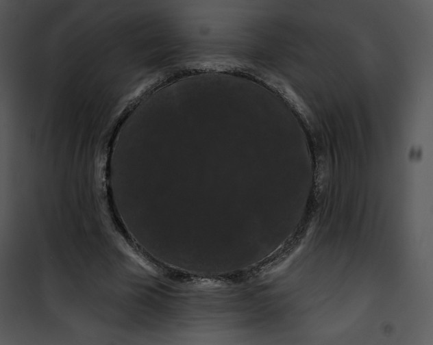 X0000100890585200807220953