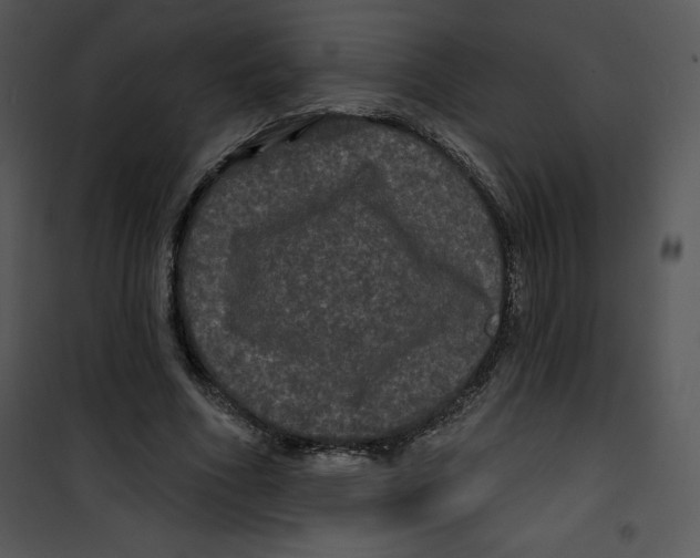 X0000100890586200807220953