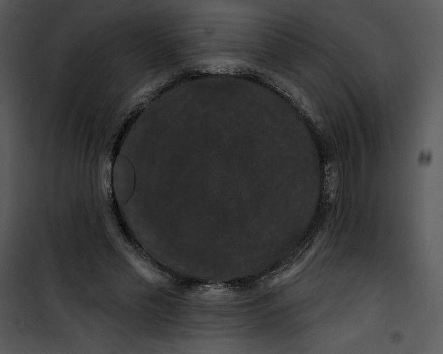 X0000100890589200807220953