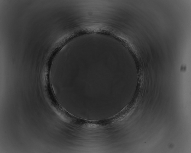 X0000100890590200807220953