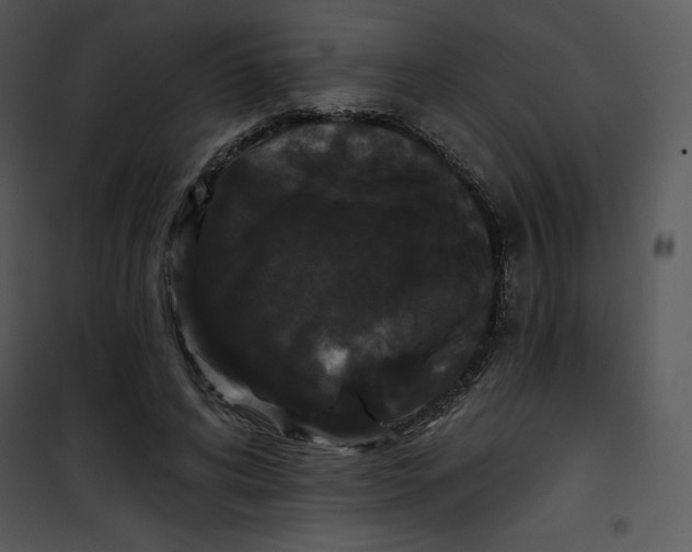 X0000100890592200807220953