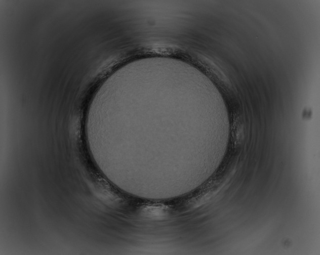 X0000100890595200807220953