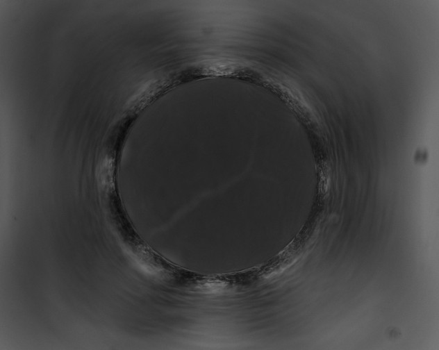 X0000100890598200807220953