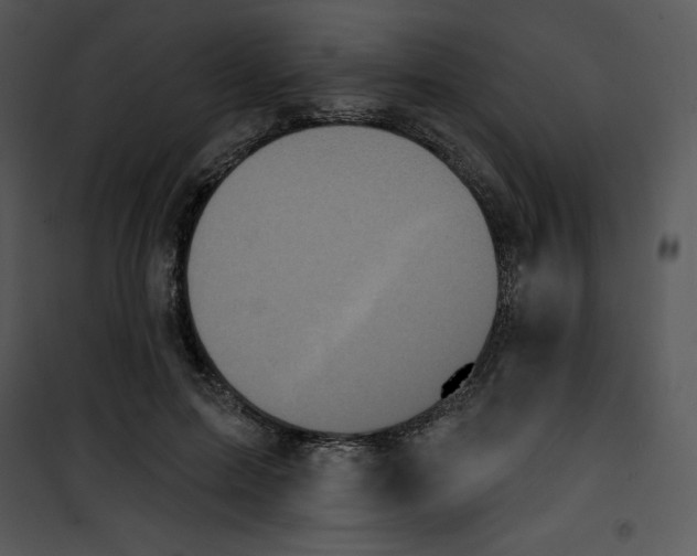 X0000100890599200807220953