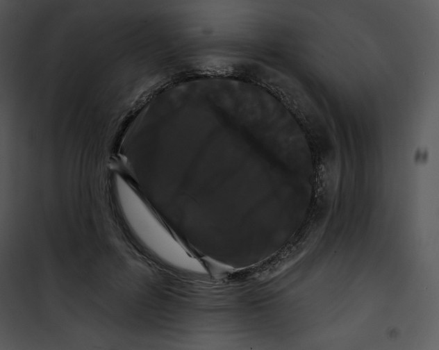 X0000100890600200807220953