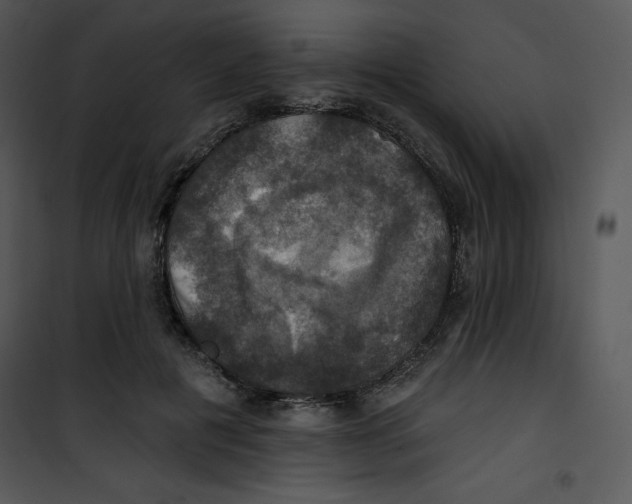 X0000100890601200807220953