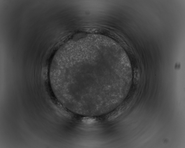 X0000100890602200807220953