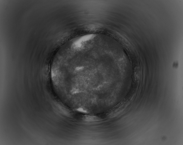 X0000100890605200807220953