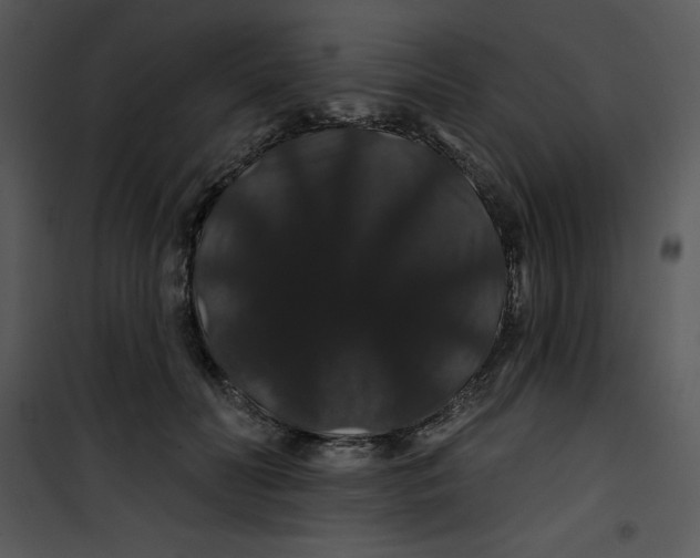 X0000100890606200807220953