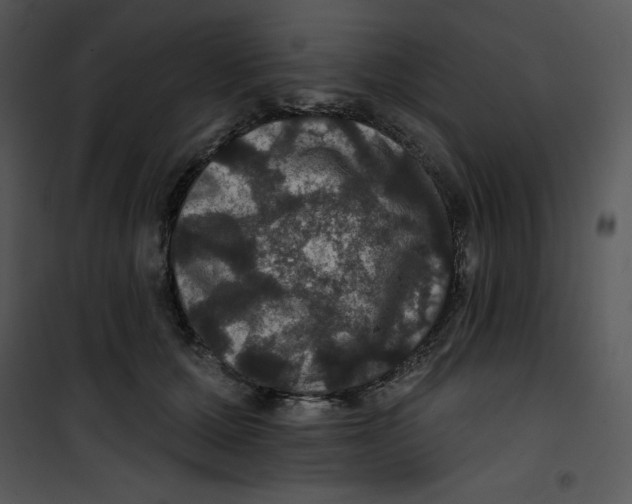 X0000100890607200807220953