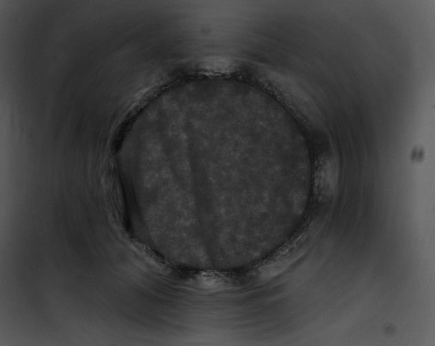 X0000100890608200807220953