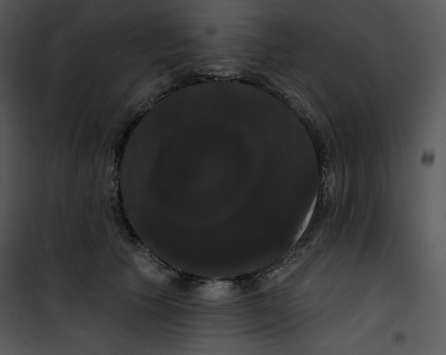 X0000100890609200807220953