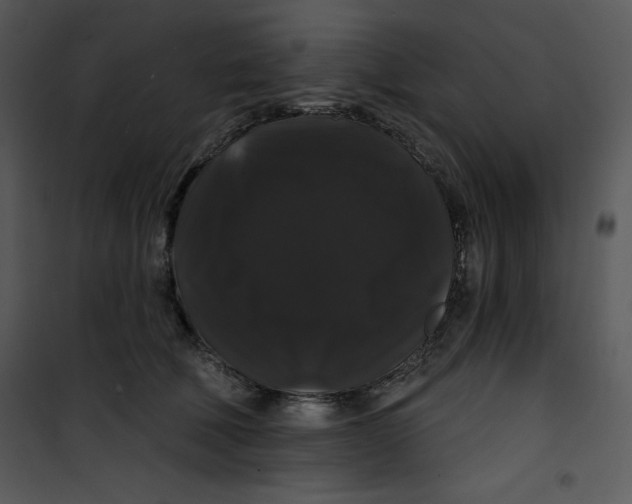 X0000100890610200807220953