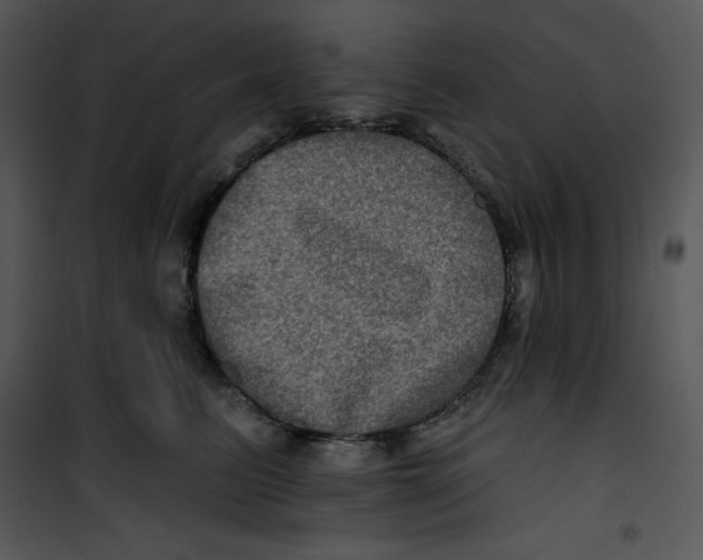 X0000100890615200807220953