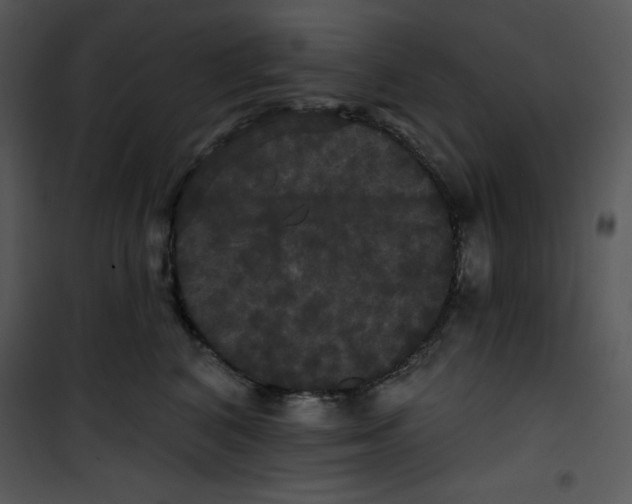 X0000100890616200807220953