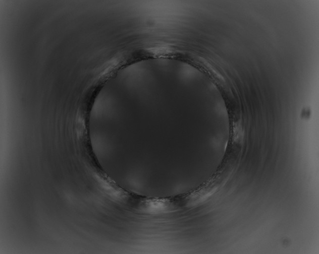 X0000100890618200807220953