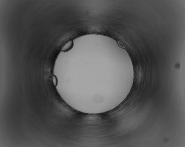 X0000100890619200807220953