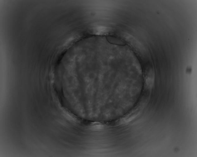 X0000100890620200807220953