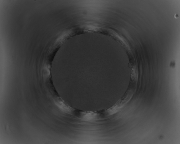 X0000100890621200807220953