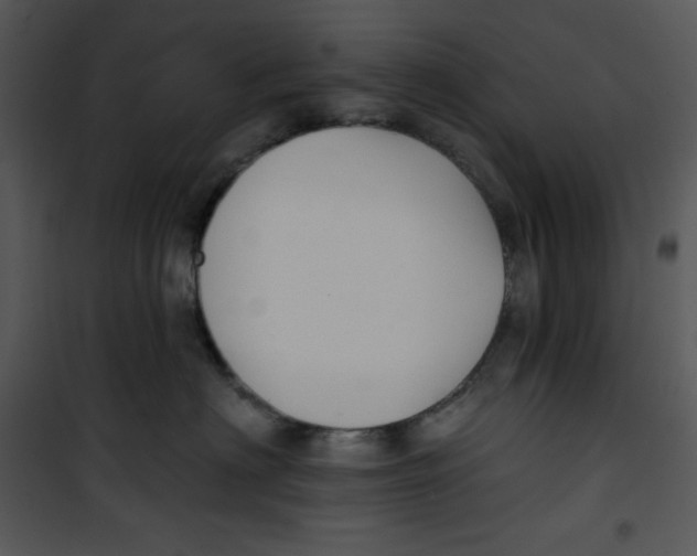 X0000100890622200807220953