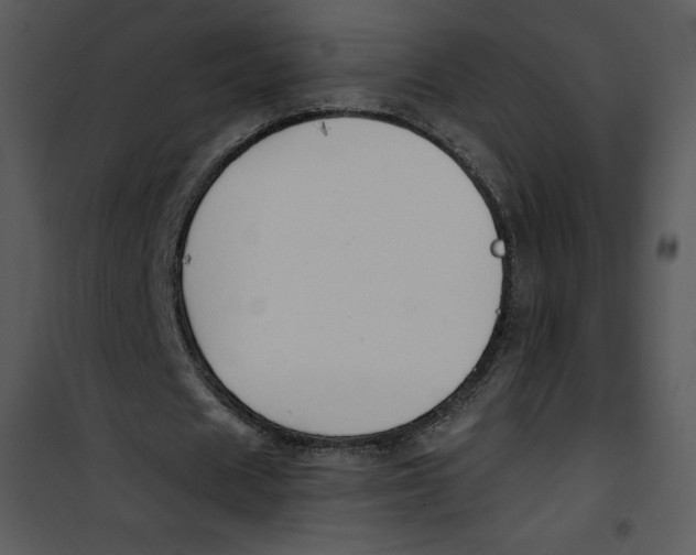 X0000100890625200807220952