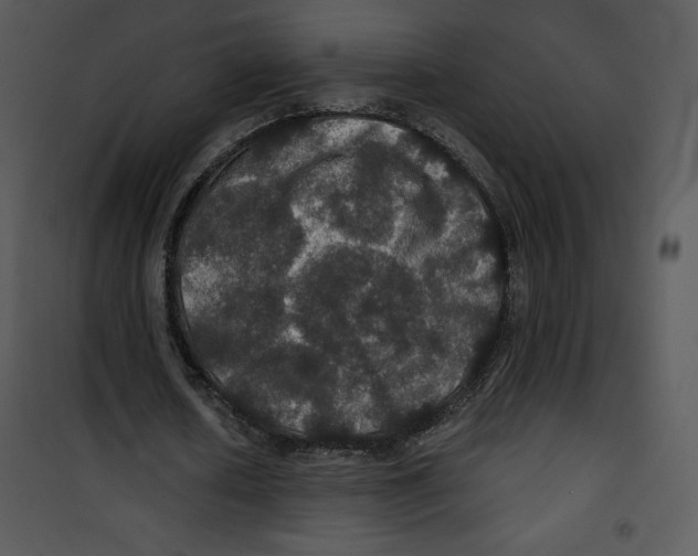 X0000100890626200807220952